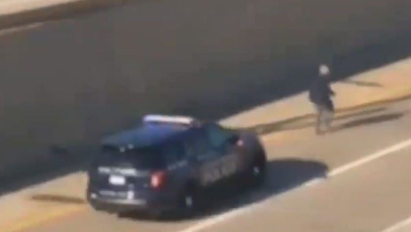 Michigan officers chased down and strike murder suspect with police cruiser on US 131 Michigan officers chased down and strike murder suspect with police cruiser on US 131 - Sputnik International