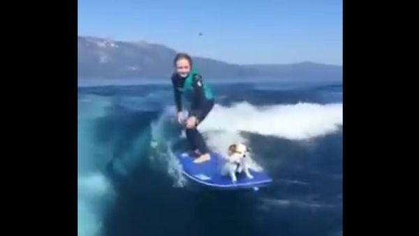Surfing - Sputnik International