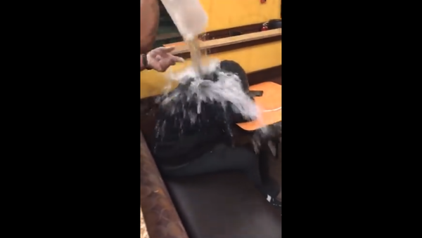 Homeless man gets jug of water thrown on him by Dunkin' Donuts employee - Sputnik International