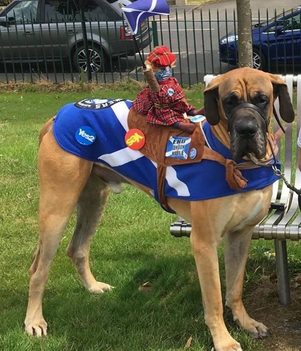 March for Scottish independence in Edinburgh - Sputnik International