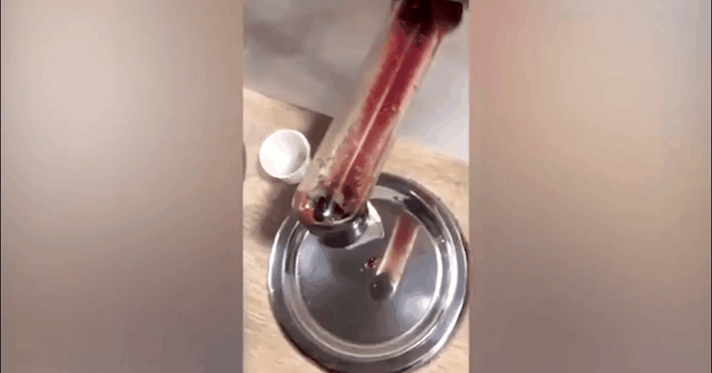 Maggots in McDonald's ketchup tube - Sputnik International