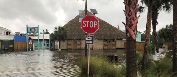 The St. Marks River overflows into the city of St. Marks, Fla., ahead of Hurricane Michael, Wednesday, Oct. 10, 2018. The St. Marks River overflows into the city of St. Marks, Fla., ahead of Hurricane Michael, Wednesday, Oct. 10, 2018. - Sputnik International