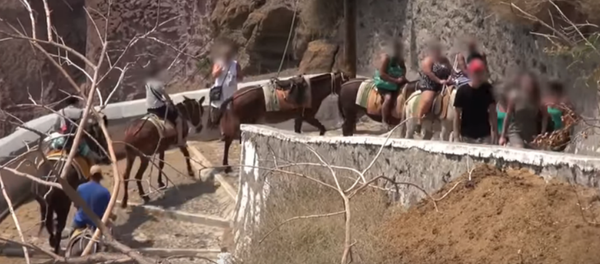 Donkeys on Santorini Abused and Used as Taxis Donkeys on Santorini Abused and Used as Taxis - Sputnik International