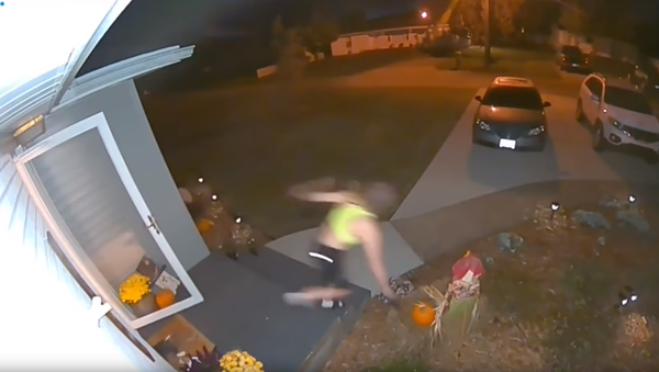 Impatient German Shepherd Drags Owner Down Front Steps, Through Decorations - Sputnik International