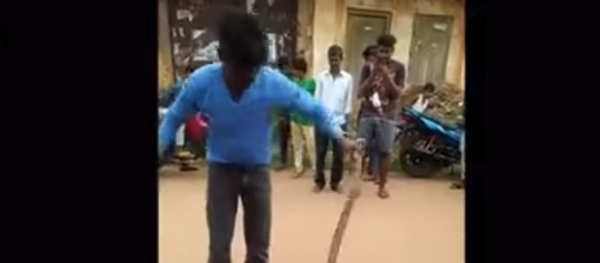 Amateur snake rescuer gets bitten in Odisha, India Amateur snake rescuer gets bitten in Odisha, India - Sputnik International