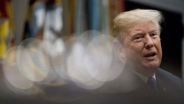 President Donald Trump - Sputnik International