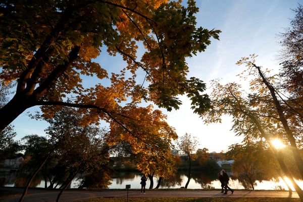 Autumn Park in Belarus - Sputnik International