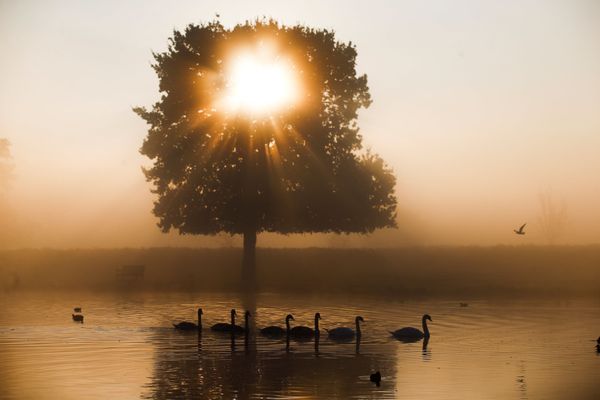 Bushy Park in London - Sputnik International