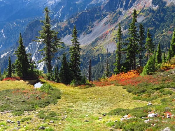Artist Point in Mountains of Washington, US - Sputnik International