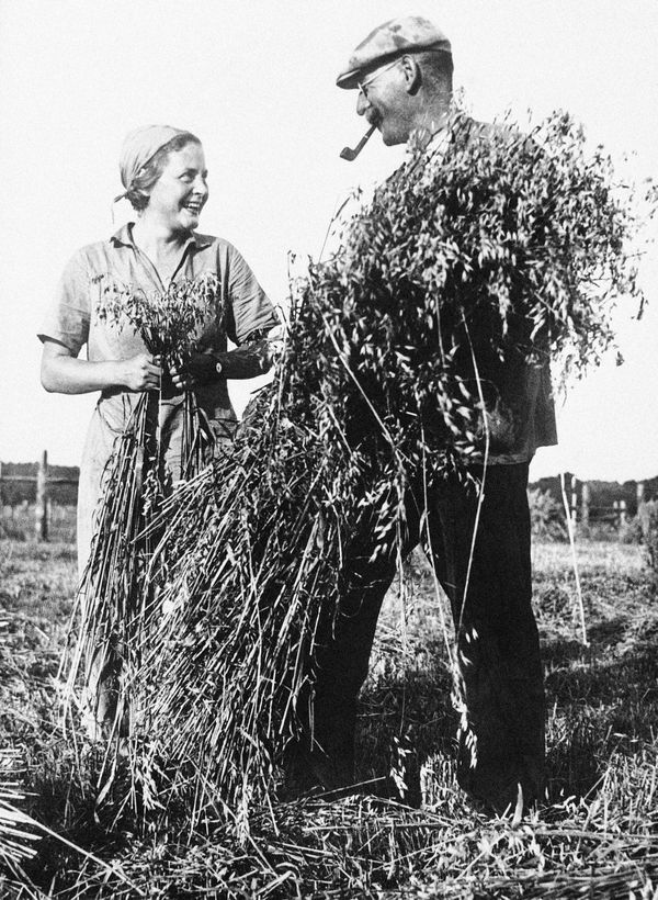 German Peasants in Fields Before WWII German Peasants in Fields Before WWII - Sputnik International