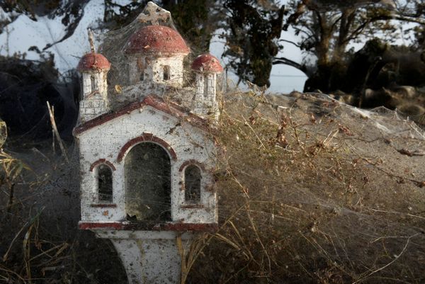 Arachnid Paradise: Greek Lake Gets Govered in Gigantic Spider Webs - Sputnik International
