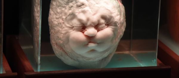 Pumpkin Heads To Pumpkin Pie: Sputnik’s Guide to Halloween Pumpkin Carving - Sputnik International