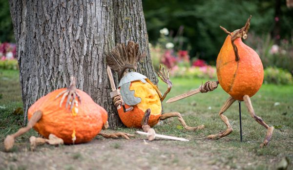 Pumpkin Heads To Pumpkin Pie: Sputnik’s Guide to Halloween Pumpkin Carving Pumpkin Heads To Pumpkin Pie: Sputnik’s Guide to Halloween Pumpkin Carving - Sputnik International