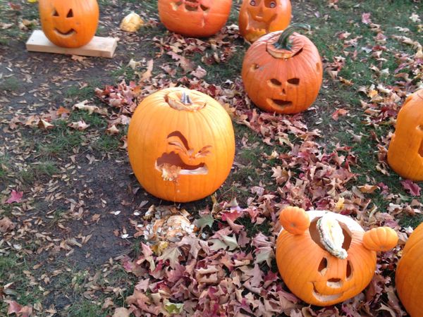 Pumpkin Heads To Pumpkin Pie: Sputnik’s Guide to Halloween Pumpkin Carving Pumpkin Heads To Pumpkin Pie: Sputnik’s Guide to Halloween Pumpkin Carving - Sputnik International
