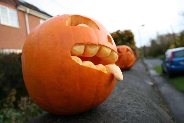Pumpkin Heads To Pumpkin Pie: Sputnik’s Guide to Halloween Pumpkin Carving Pumpkin Heads To Pumpkin Pie: Sputnik’s Guide to Halloween Pumpkin Carving - Sputnik International