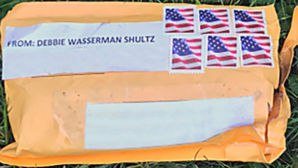 Exterior of one of the suspicious packages. Addresses have been removed to protect privacy. - Sputnik International