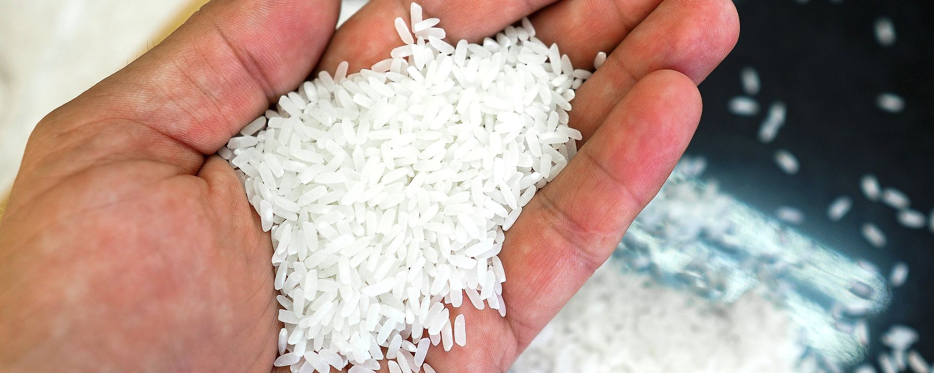 Rice Rice - Sputnik International, 1920, 23.02.2022