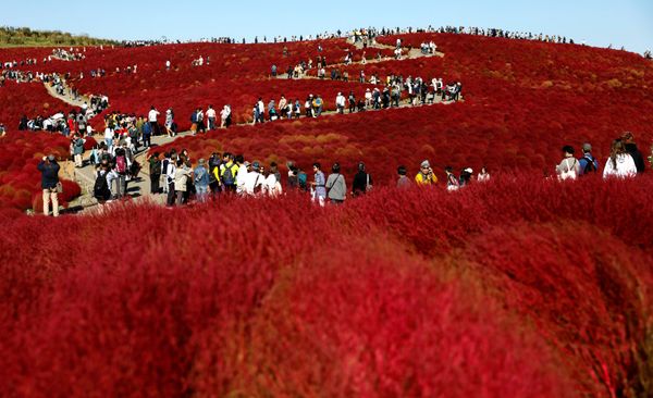 This Week in Pictures: October 20 - 26 This Week in Pictures: October 20 - 26 - Sputnik International