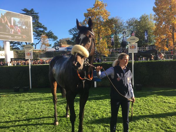 The Sputnik Intelligent Punter's Guide to Royal Ascot 2020 The Sputnik Intelligent Punter's Guide to Royal Ascot 2020 - Sputnik International