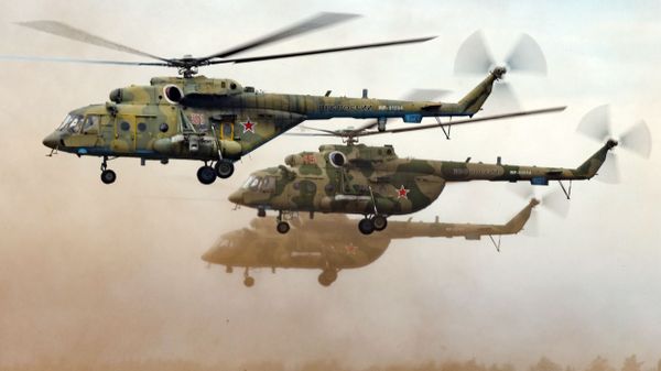 Flying the Friendly Skies: Russia Celebrates Army Aviation Day - Sputnik International