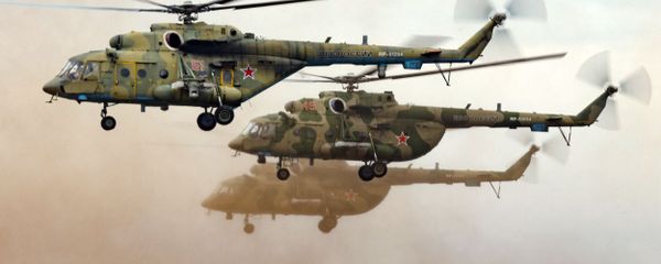 Flying the Friendly Skies: Russia Celebrates Army Aviation Day Flying the Friendly Skies: Russia Celebrates Army Aviation Day - Sputnik International