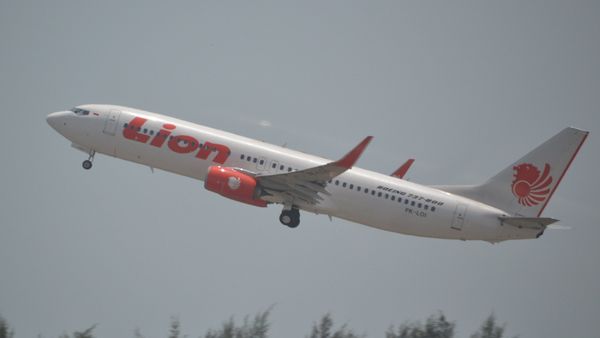 Boeing 737/8 of Lion Air at Singapore Changi-SIN,13/10/14.(Archive) - Sputnik International