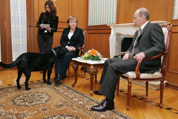 Gazing Into the Past: A Brief Chronicle of Angela Merkel's Political Career Gazing Into the Past: A Brief Chronicle of Angela Merkel's Political Career - Sputnik International