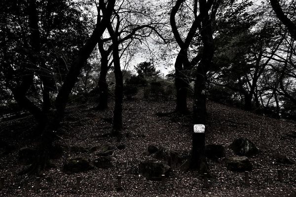 Tokyo's Top Five Eerie Places (PHOTOS) - Sputnik International