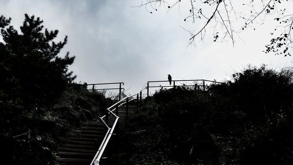 Mount Hakone - Sputnik International