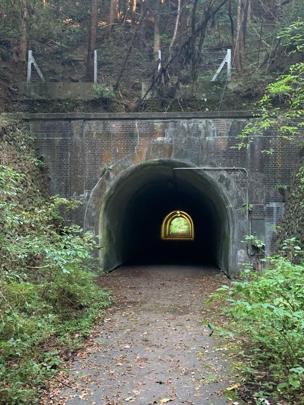 Tokyo's Top Five Eerie Places (PHOTOS) - Sputnik International