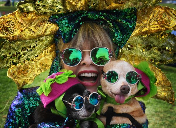 This Week in Pictures: October 27 - November 2 - Sputnik International