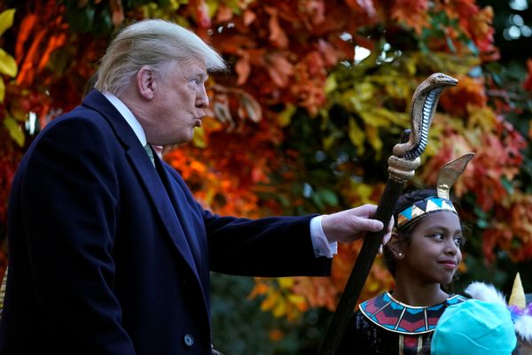 This Week in Pictures: October 27 - November 2 - Sputnik International
