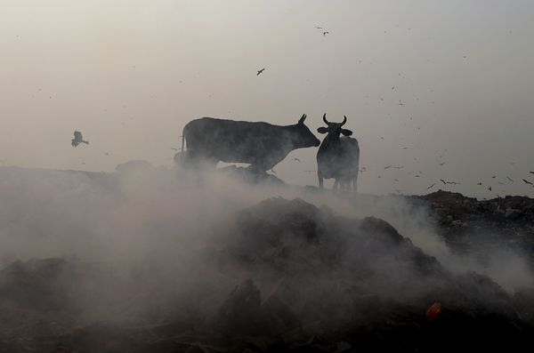 This Week in Pictures: October 27 - November 2 - Sputnik International