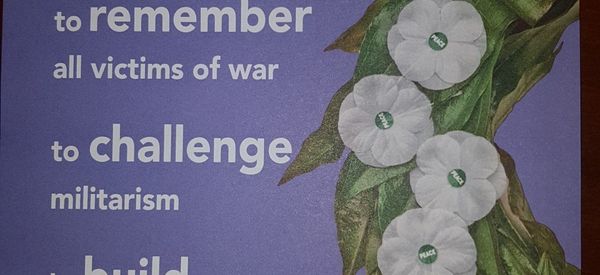White Poppy White Poppy - Sputnik International