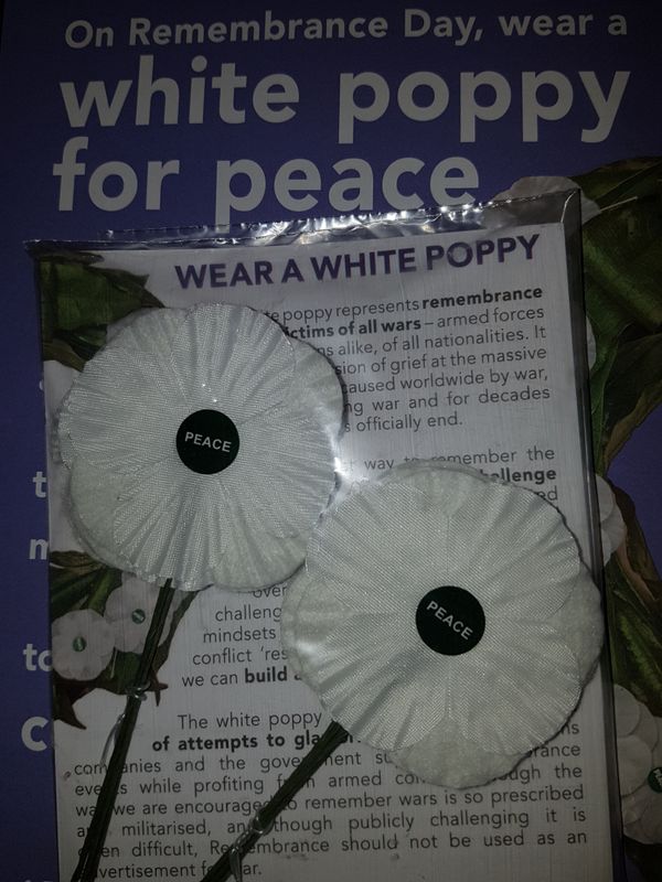 White Poppy White Poppy - Sputnik International