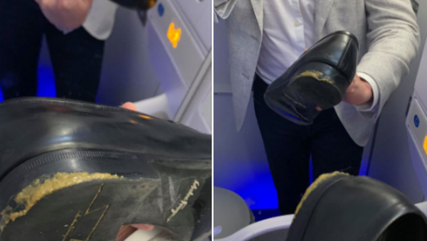 Feces on Delta flight - Sputnik International