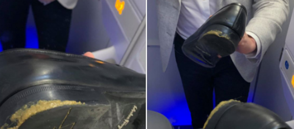 Feces on Delta flight - Sputnik International