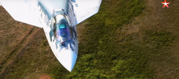 Su-57 performing super-low flight. Still from Zvezda broadcast. Su-57 performing super-low flight. Still from Zvezda broadcast. - Sputnik International