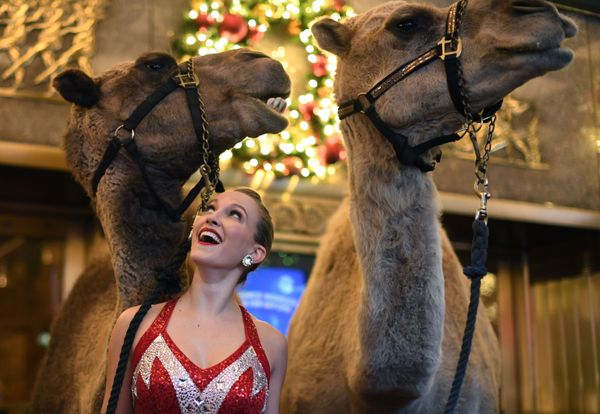 This Week in Pictures: November 3 - 9 This Week in Pictures: November 3 - 9 - Sputnik International