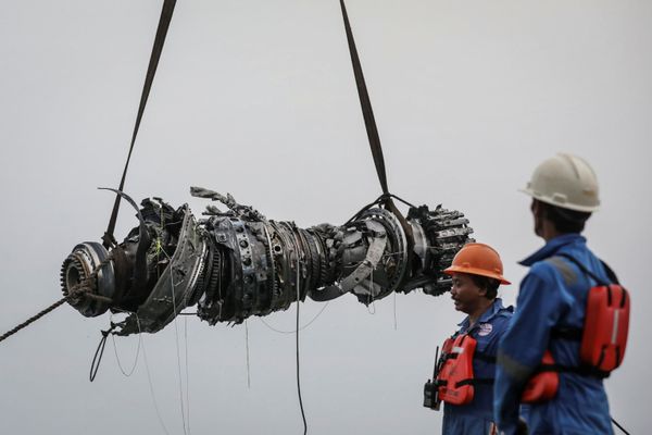 This Week in Pictures: November 3 - 9 This Week in Pictures: November 3 - 9 - Sputnik International