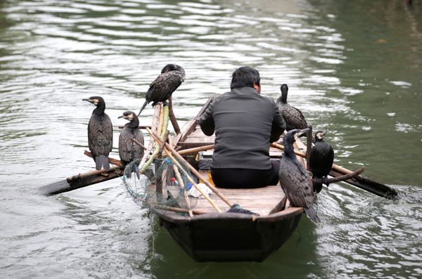 This Week in Pictures: November 3 - 9 This Week in Pictures: November 3 - 9 - Sputnik International