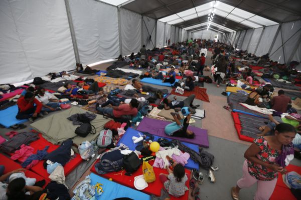 Trump’s ‘Asylum Ban’ Can Be Defeated Through Solidarity with Caravan - Journo Trump’s ‘Asylum Ban’ Can Be Defeated Through Solidarity with Caravan - Journo - Sputnik International