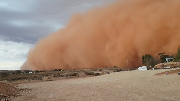 Dust storm in South New Wales, Australia - Sputnik International