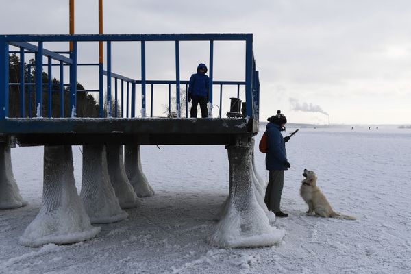 Winter is Coming: First Autumn Frost Arrives in Siberia - Sputnik International