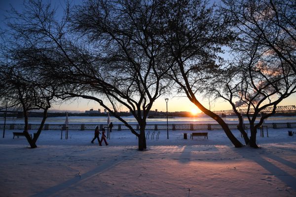 Winter is Coming: First Autumn Frost Arrives in Siberia - Sputnik International