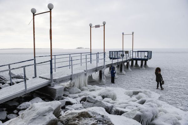 Winter is Coming: First Autumn Frost Arrives in Siberia - Sputnik International