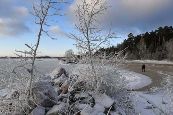 Winter is Coming: First Autumn Frost Arrives in Siberia - Sputnik International