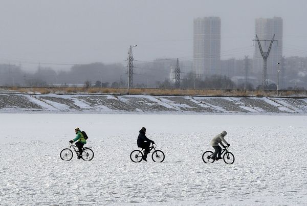 This Week in Pictures: November 10 - 16 This Week in Pictures: November 10 - 16 - Sputnik International