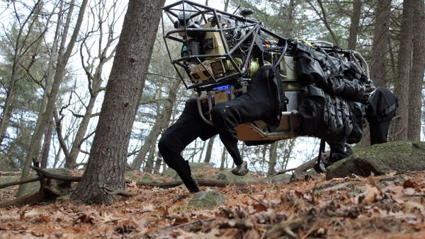 Boston Dynamics 'Big Dog' battlefield robot - Sputnik International