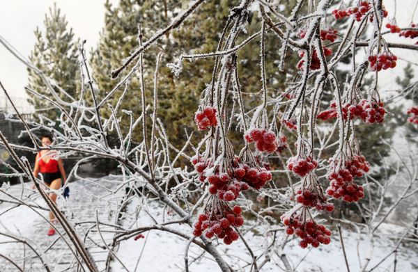 Frost-proof Russians: Siberian Cities Prepared for Winter - Sputnik International